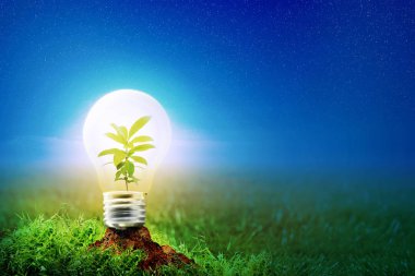 Taze gece gökyüzü arka plan yıldızı parlayan ampul çayırda fertise topraklarında içinde bitki. Dünya saat kavramı