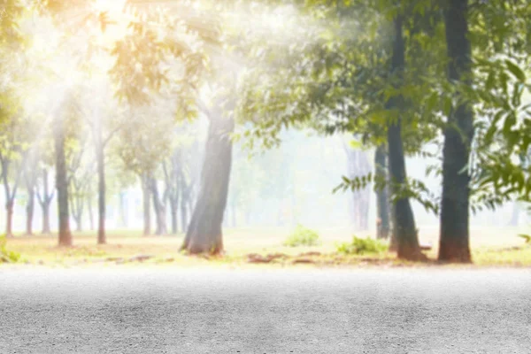 Road side with trees and park view