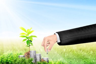 Kar başlangıç kavramı