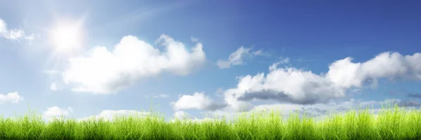 Yeşil Çimen Manzarası Mavi Gökyüzü Arka Planlı Güneş Işığı — Stok fotoğraf