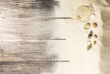 Ahşap zemin arka plan ile kum kabukları üst görünümü