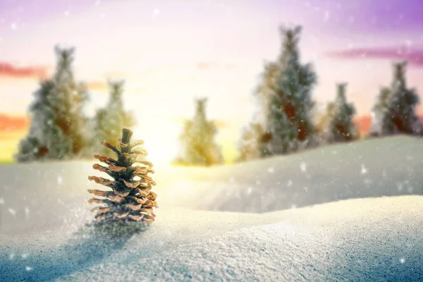 Abeto y pino en la nieve — Foto de Stock