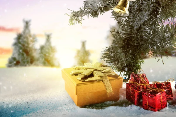Пихты и подарочная коробка на снегу — стоковое фото