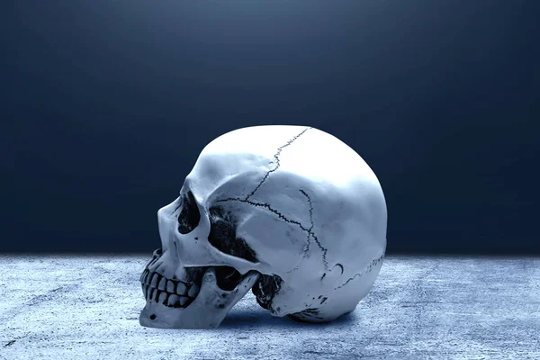 Crânio humano no chão — Fotografia de Stock
