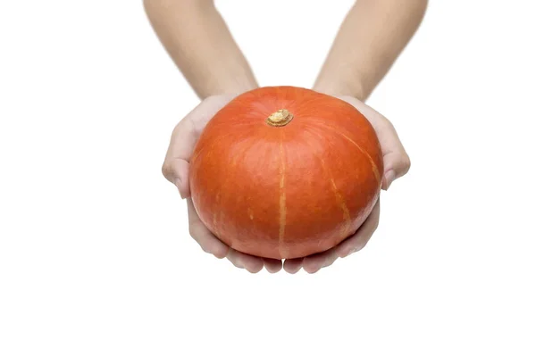 Hands holding pumpkin — Stock Photo, Image