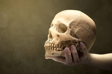 İnsan kafatasını tutan el. 