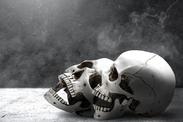 Human skull on the floor — ストック写真