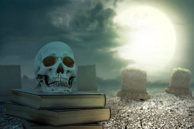 Çatlak zeminde insan kafatası olan bir kitap yığını.