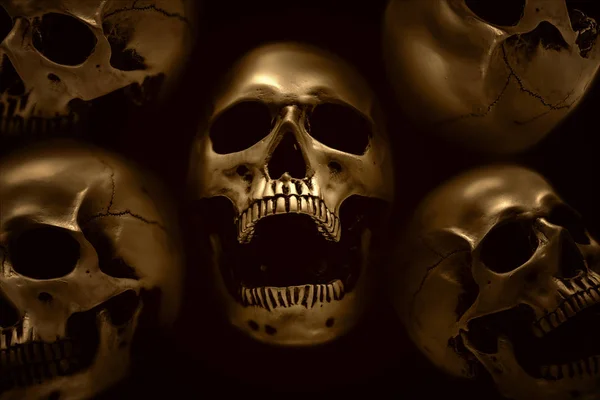 Human skull — Stock Photo, Image