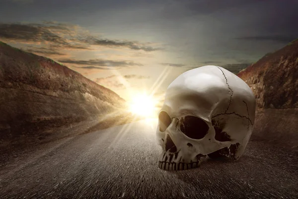 Human skull on the asphalt — ストック写真