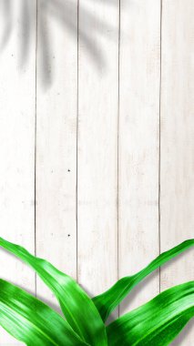 Tahta masa arkasında tropik yapraklar. Hikaye şablonu