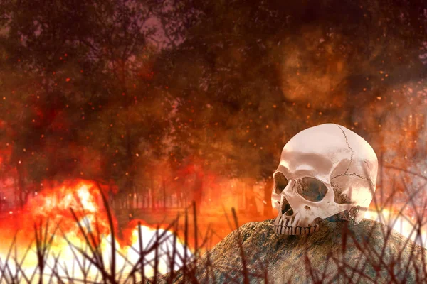 人类的骷髅 森林里有火有烟 万圣节的概念 — 图库照片