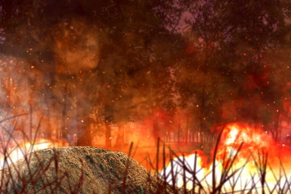 Eksplozja Iskrami Gorącym Dymem Lesie — Zdjęcie stockowe
