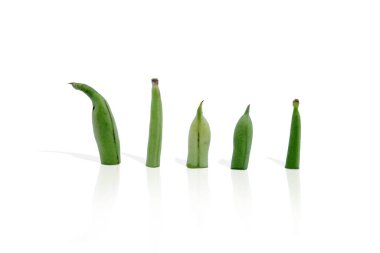 Beyaz arka planda izole edilmiş fasulye dilimleri.