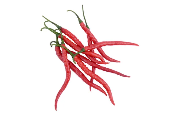 Fresh Red Chili Isolated White Background — Stock Photo, Image