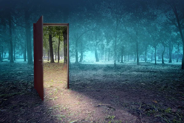 Porta Aberta Com Vista Para Dia Floresta Com Fundo Cena — Fotografia de Stock