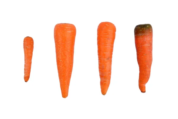 Carota Fresca Isolata Sfondo Bianco — Foto Stock