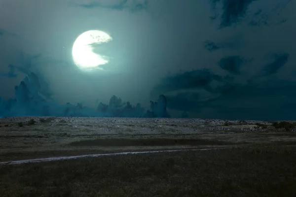 Grasveld Met Wolkenkrabbers Maanlicht Nachts — Stockfoto