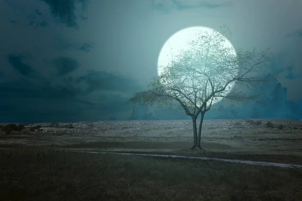 Lunca Nori Lumina Lunii Timp Noapte — Fotografie, imagine de stoc