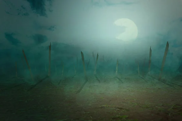 Поле Туманом Фоне Лунного Света — стоковое фото