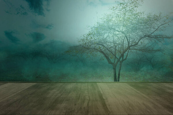 Wooden floor in the forest with smoke and fog with night scene background. Halloween concept