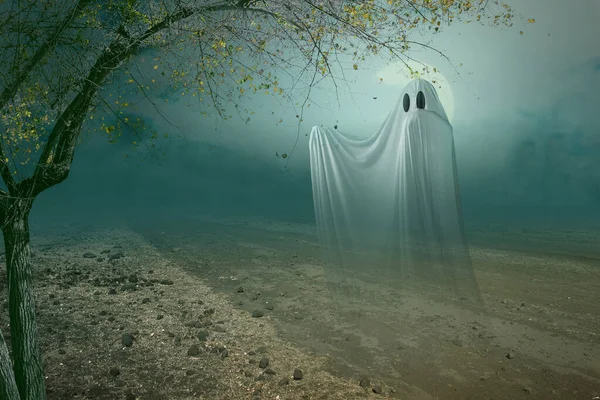 Blanke Geesten Die Rondspoken Het Veld Halloween Concept — Stockfoto