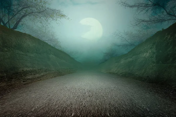 Rua Assombrada Com Nevoeiro Luz Luar Conceito Halloween — Fotografia de Stock