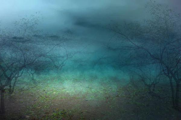 Bosque Embrujado Con Niebla Fondo Luz Luna Concepto Halloween — Foto de Stock