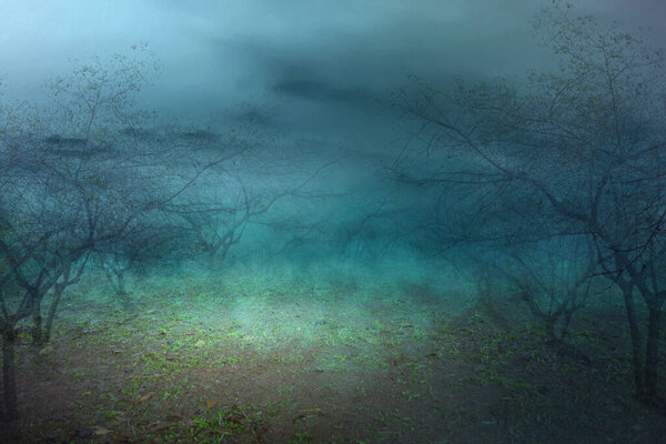 Haunted forest with fog and moonlight background. Halloween concept