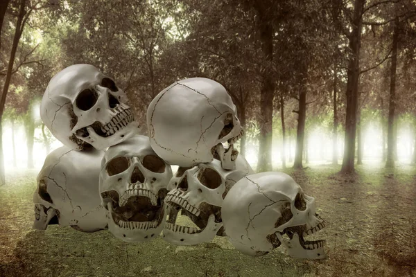 Stack of a human skull on the haunted forest with the night scene background