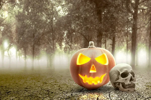 Jack-o-Lantern and human skull on the haunted forest with the night scene background