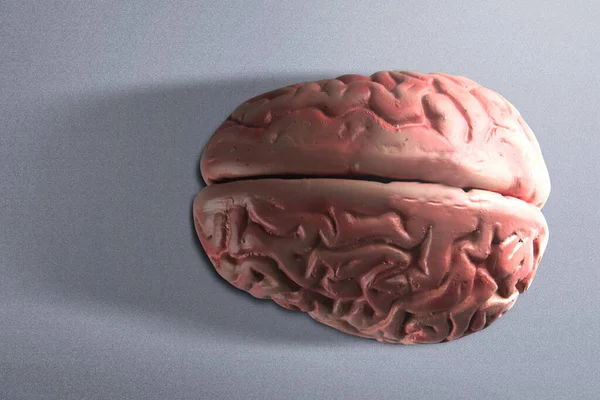 Cerebro Humano Con Fondo Negro —  Fotos de Stock