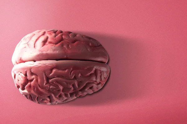 Human Brain Pink Background — Stock Photo, Image