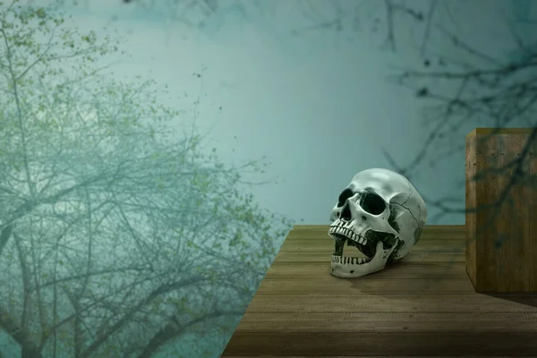 森の中の煙と霧のある木製のテーブルの上の人間の頭蓋骨 — ストック写真