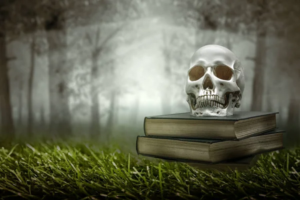 Pile of the book with a human skull on the grass with the haunted forest background. Halloween concept