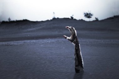 Sahada yaralı ve kanlı bir zombi eli.