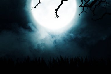 Gece manzaralı, dumanlı ve ay ışığında çimen silueti