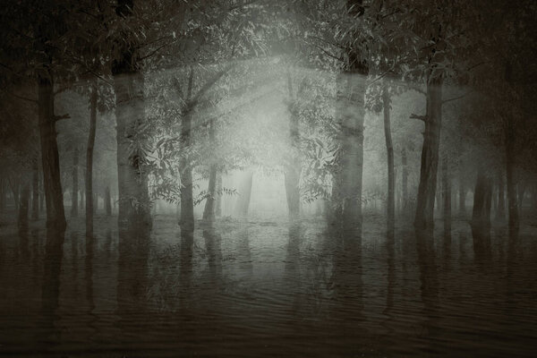 Haunted forest with lake and sunlight background. Halloween concept
