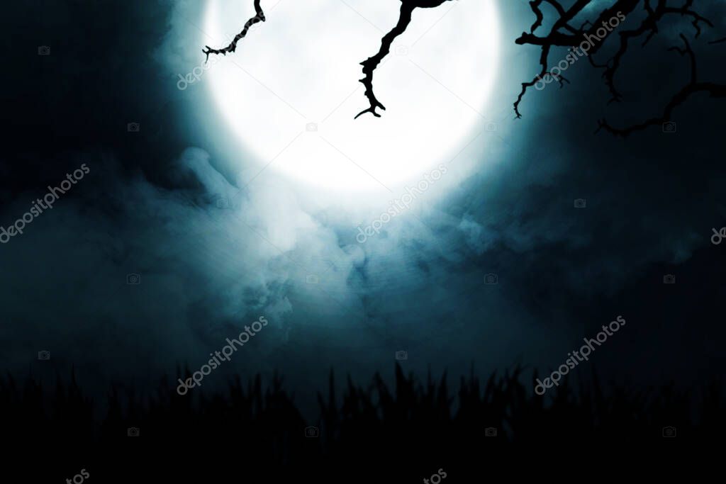 silhouette of grass with smoke and moonlight with a night scene background