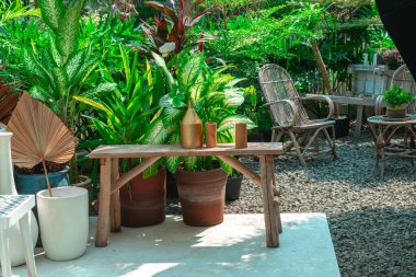 Dışarıda yeşil bitkiler ve dinlenmek için sandalyeler.