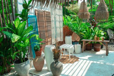 Açık havada beyaz duvar arkaplanı olan yeşil bitkiler