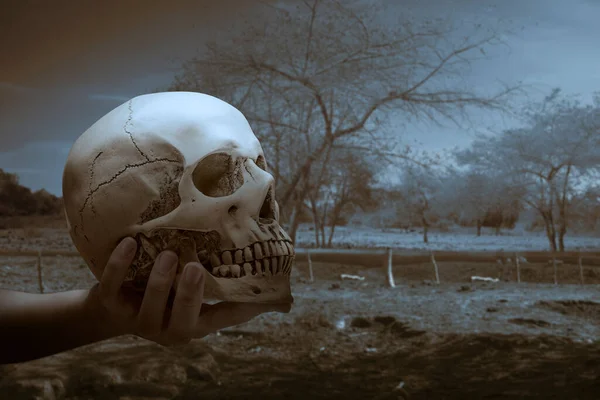Hand Hält Einen Menschlichen Schädel Mit Dramatischem Hintergrund Halloween Konzept — Stockfoto