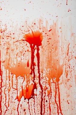 Kan damlalarının, kan damlalarının ya da dokulu bir duvardaki kan lekelerinin gerçekçi etkisi. Cadılar Bayramı duvar kağıdı veya arkaplanı