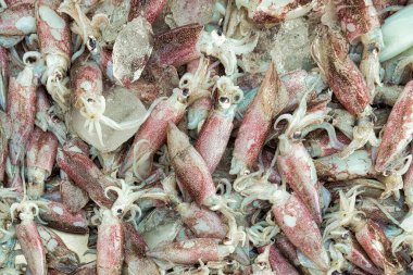 Taze mürekkep balığı markette satılıyor.