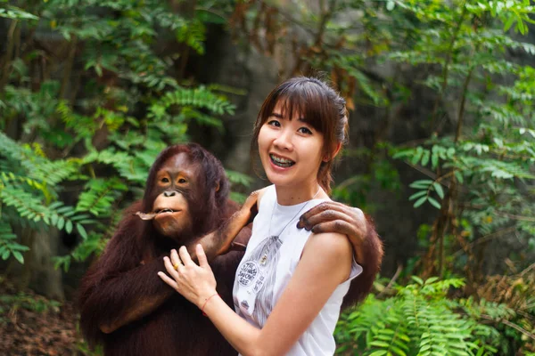 Азиатские Женщины Путешественницы Брекетах Счастливы Играть Обнимать Диких Орангутангов Джунглях — стоковое фото