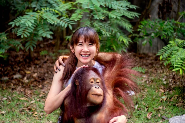 Asyalı kadın gezginlerin diş telleri var. Ormanda vahşi yaşam orangutanlarıyla oynayıp kucaklaşmaktan mutlular..