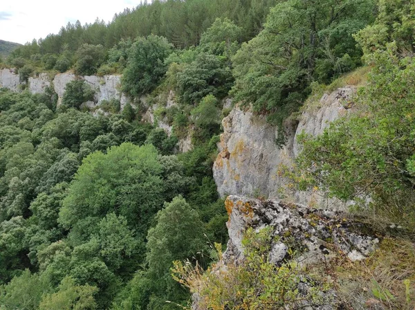 Foz Paisaje Navarra Valley — Stock Photo, Image