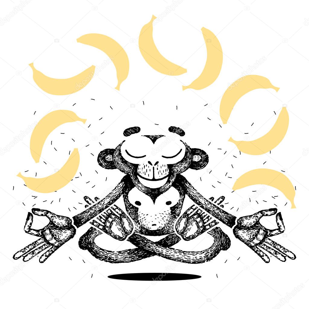 Monkey is meditating and levitating. Monkey sits in a lotus position and dreams of bananas. Vector hand made illustration. for poster, print, t-shirt.