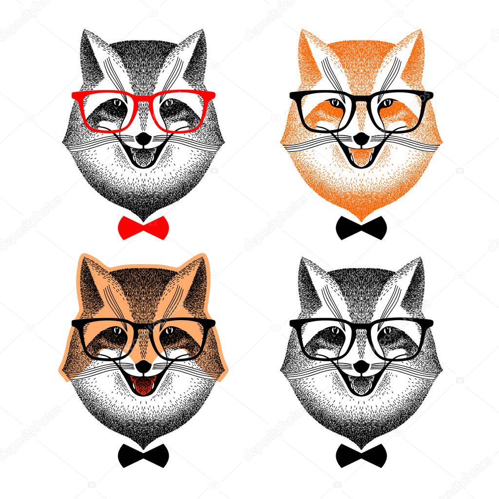 portrait of a fox with glasses. fox with bow tie. fox hipster. Set of portraits of a fashionable fox. hipster style.