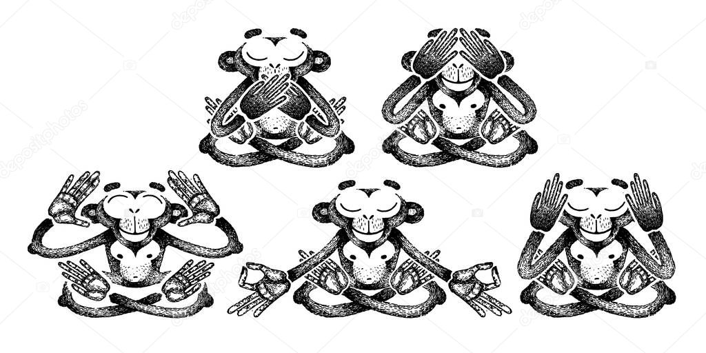 Set of monkeys. Monkeys are sitting in different poses and meditation. See no Evil, Hear no Evil, Speak no Evil. For poster, print, t-shirt, tattoo.